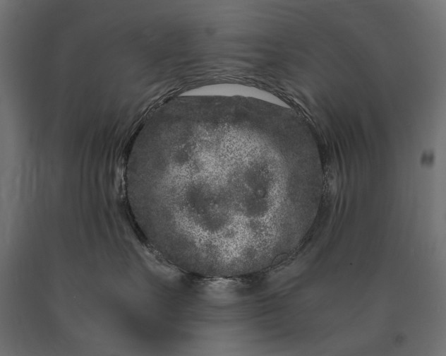 X0000090720527200708031503