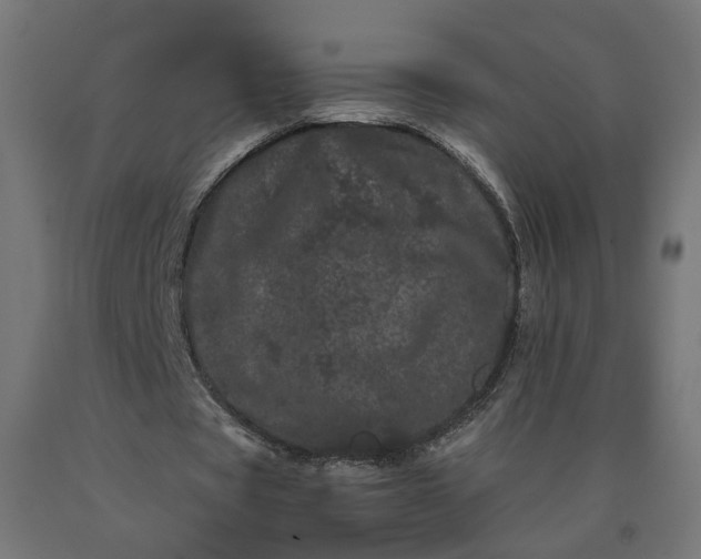 X0000090720529200708031502
