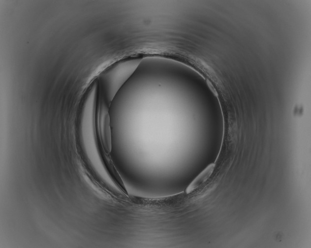 X0000090720530200708031502