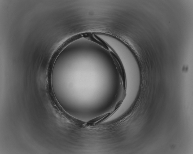 X0000090720532200708031503