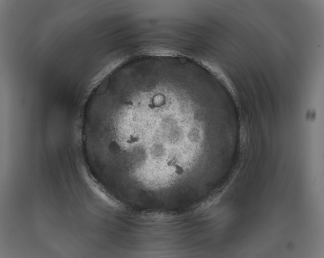 X0000090720533200708031503