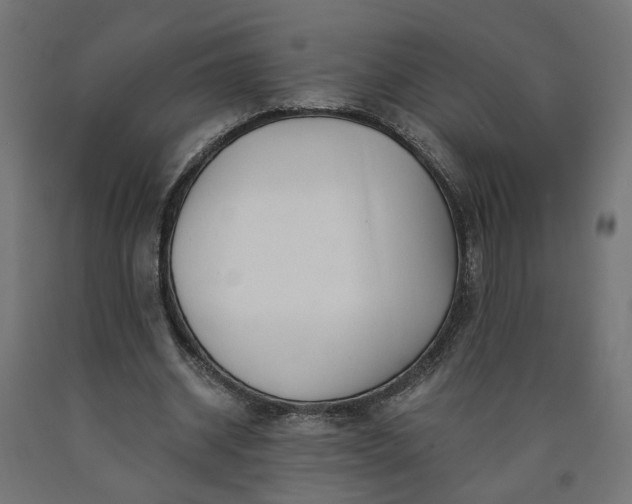 X0000090720534200708031503