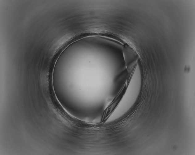 X0000090720535200708031503