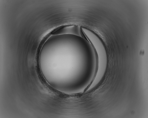 X0000090720536200708031503