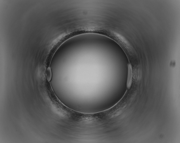 X0000090720540200708031503