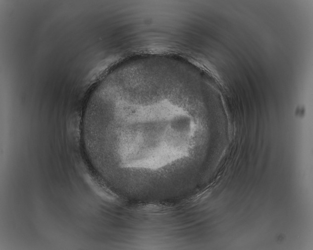 X0000090720542200708031503