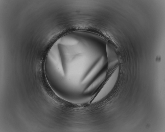 X0000090720543200708031503