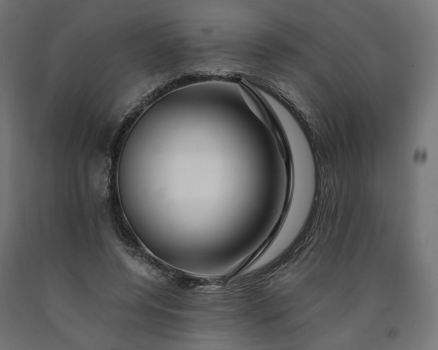 X0000090720544200708031503