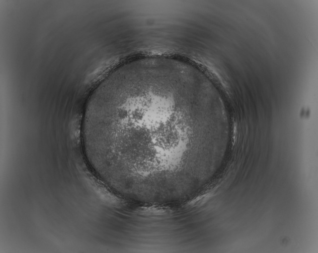 X0000090720545200708031503