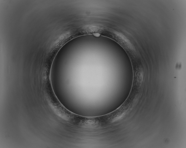 X0000090720546200708031503