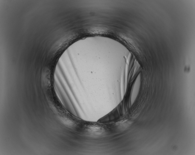 X0000090720547200708031503