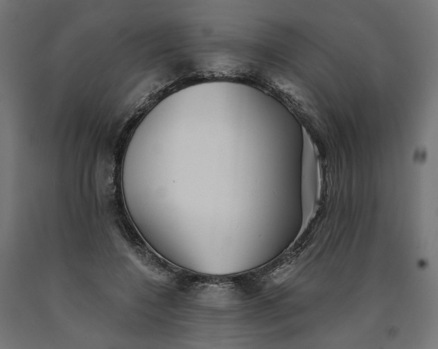 X0000090720548200708031503