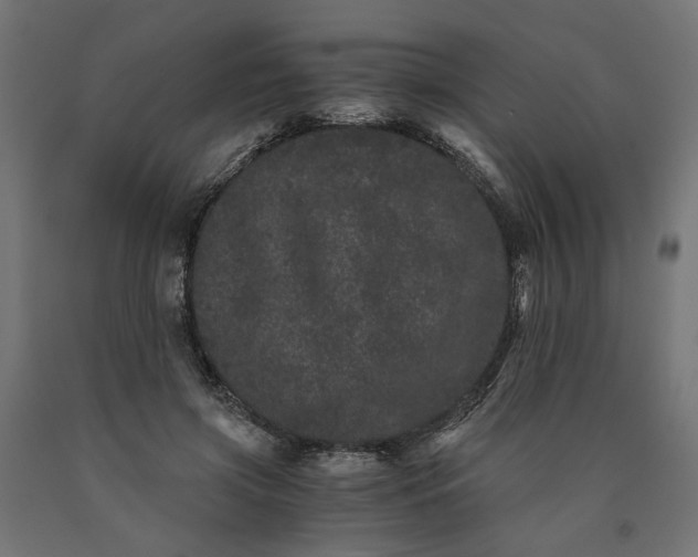 X0000090720549200708031503