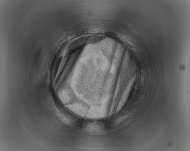 X0000090720550200708031503