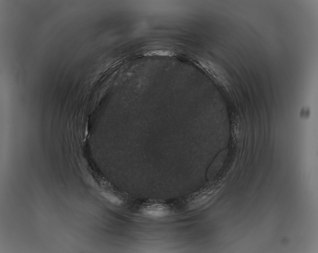 X0000090720551200708031503