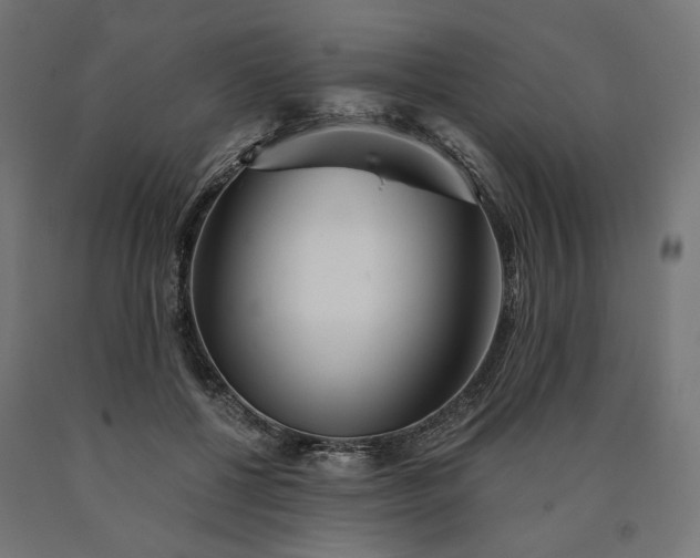 X0000090720552200708031503