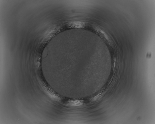 X0000090720553200708031503