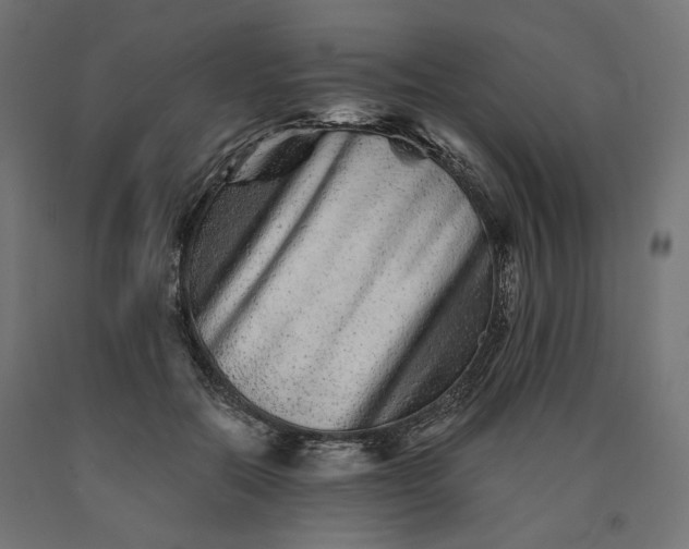 X0000090720554200708031503