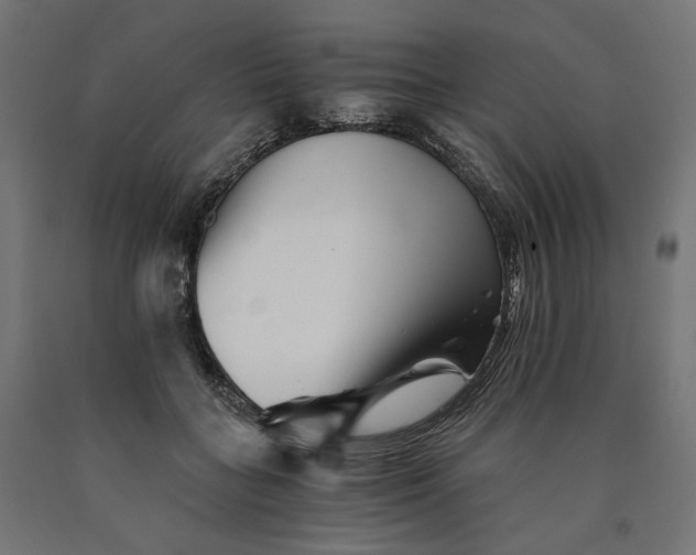 X0000090720555200708031503