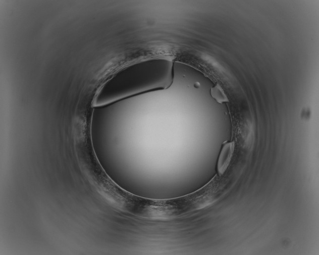 X0000090720556200708031503