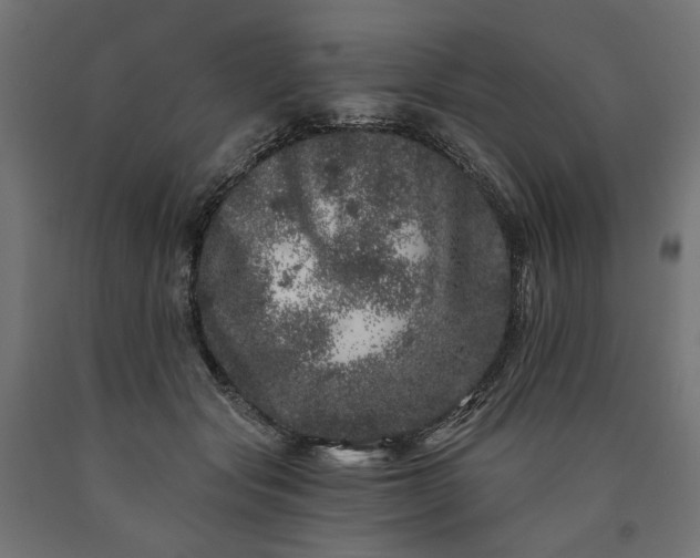 X0000090720557200708031503