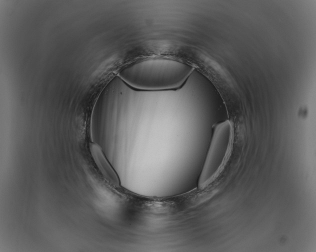 X0000090720558200708031503