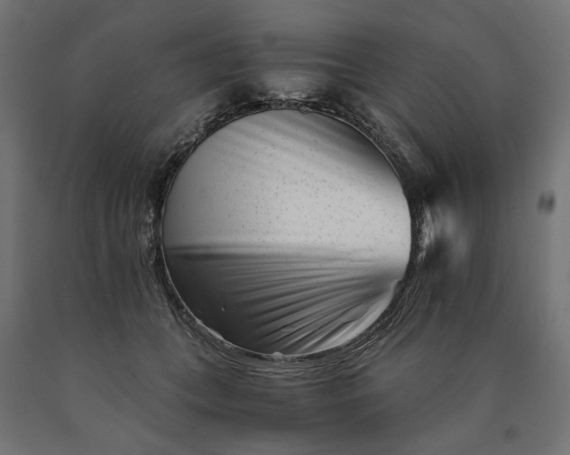 X0000090720559200708031503