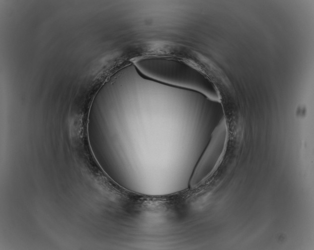 X0000090720560200708031503