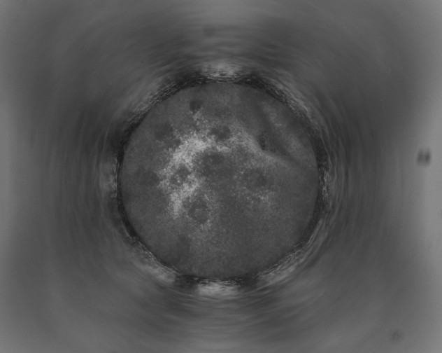 X0000090720561200708031503
