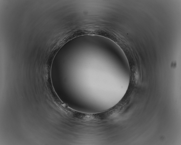 X0000090720562200708031503