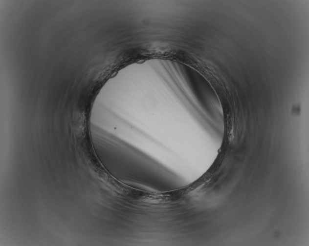 X0000090720563200708031503