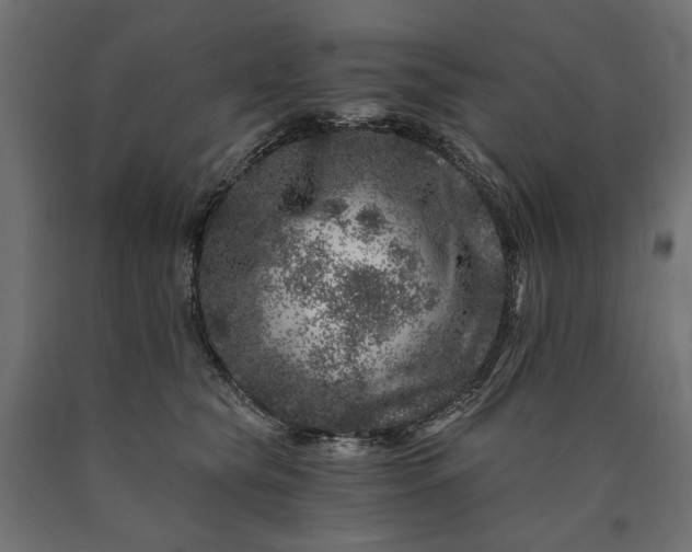 X0000090720565200708031503