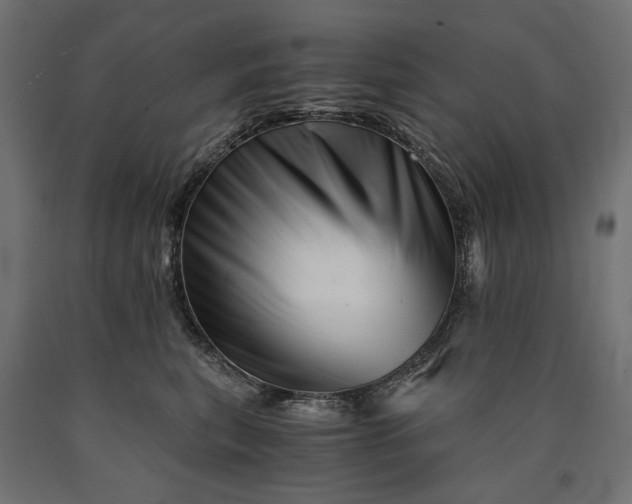 X0000090720567200708031503