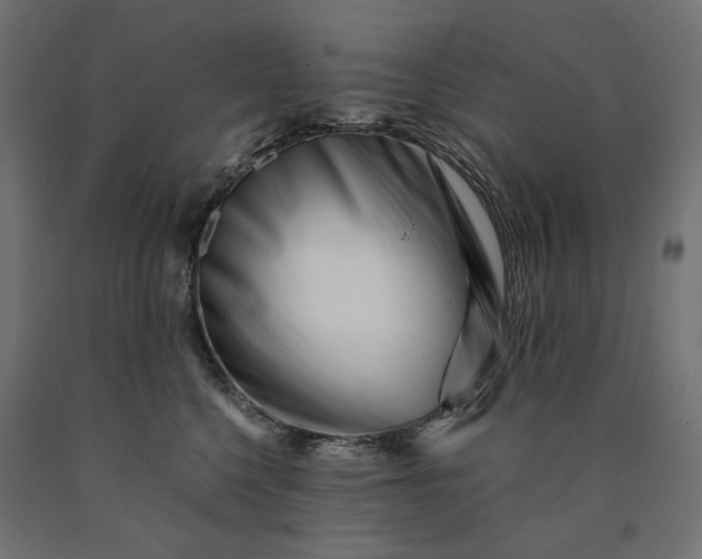 X0000090720568200708031503