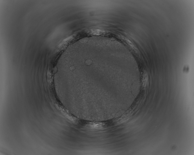 X0000090720569200708031503