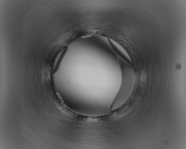 X0000090720570200708031503
