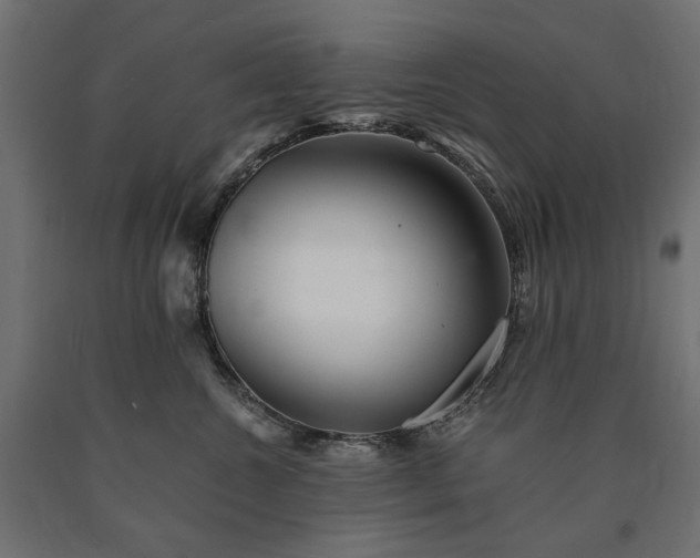 X0000090720572200708031503
