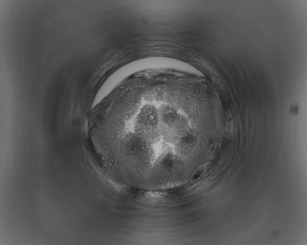 X0000090720573200708031503