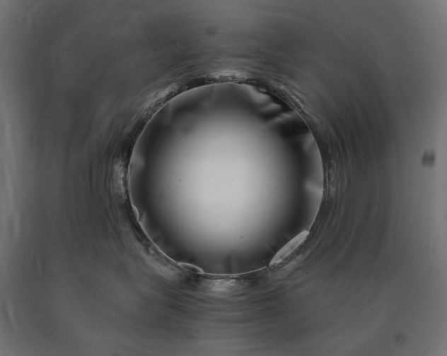 X0000090720575200708031503