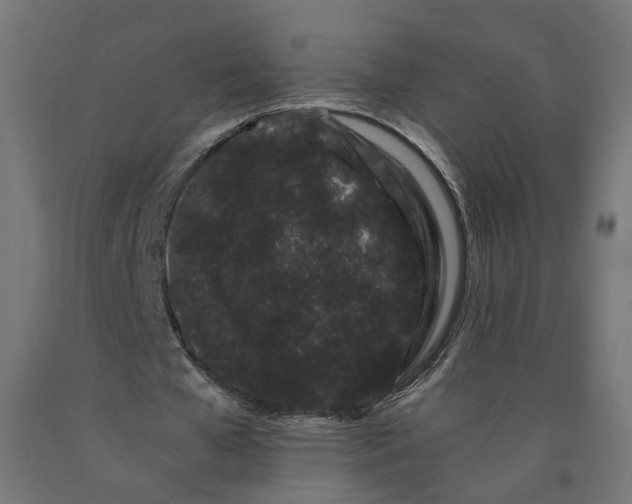 X0000090720577200708031502