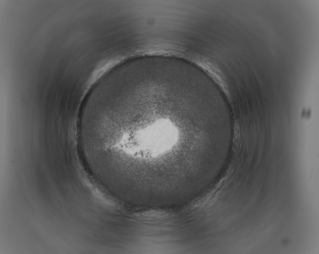 X0000090720578200708031502