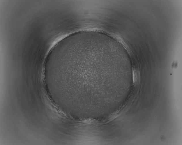 X0000090720579200708031502