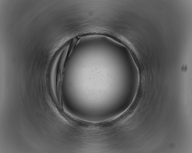 X0000090720581200708031502
