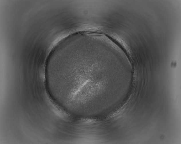 X0000090720582200708031502