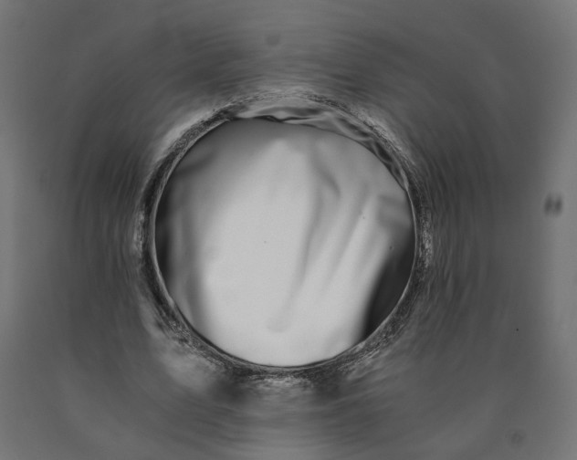 X0000090720583200708031502