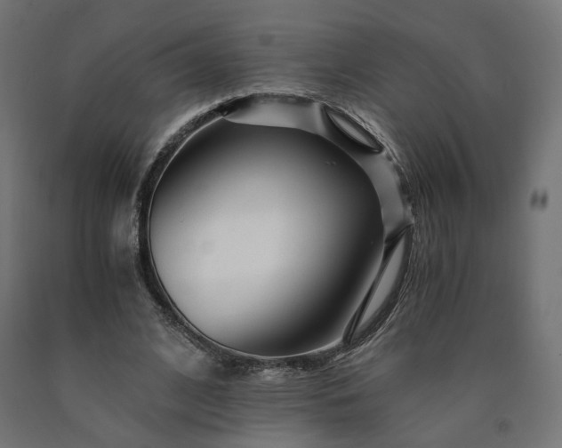 X0000090720584200708031502