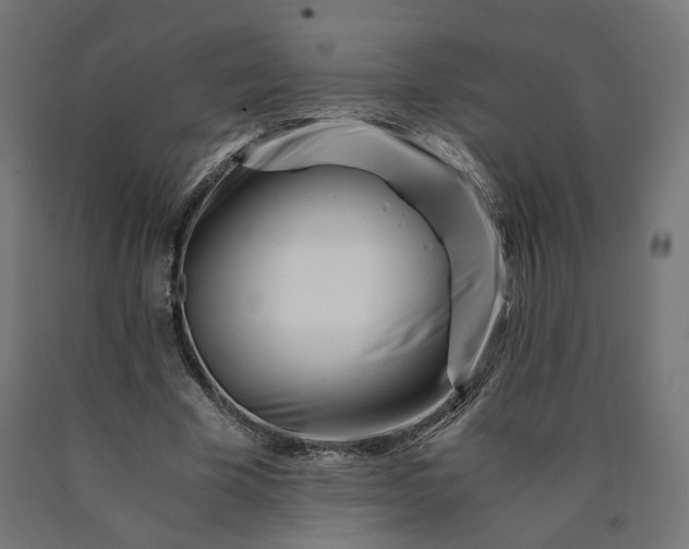 X0000090720585200708031502