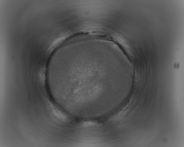 X0000090720586200708031502