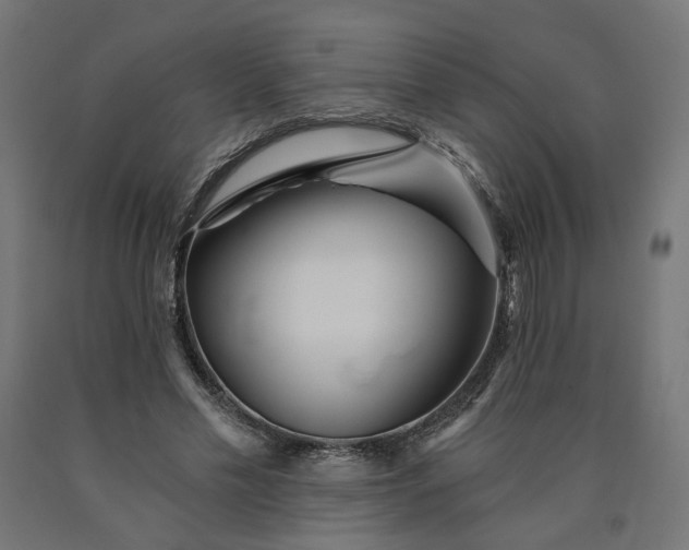 X0000090720589200708031502