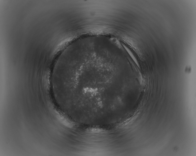 X0000090720590200708031502